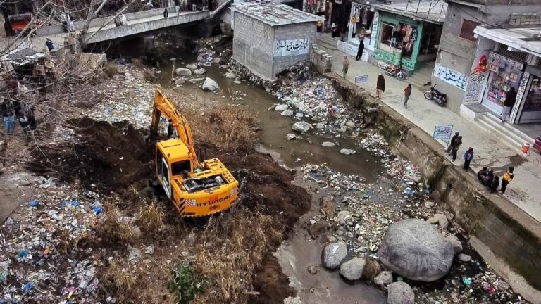 Sustainable Environment Activities (1)-min