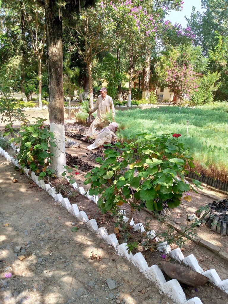 Sustainable Environment Activities (7)-min